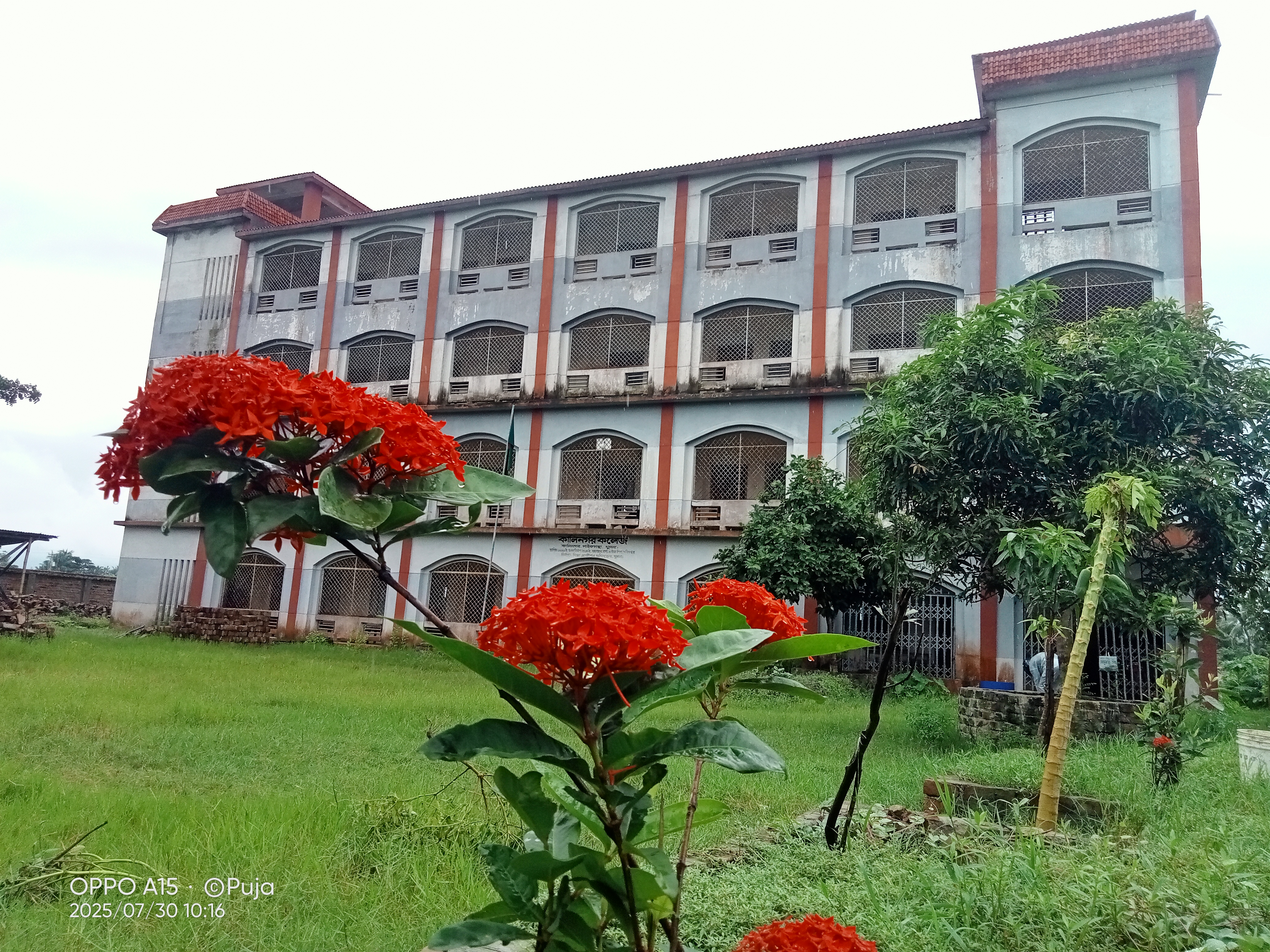 কালিনগর কলেজ